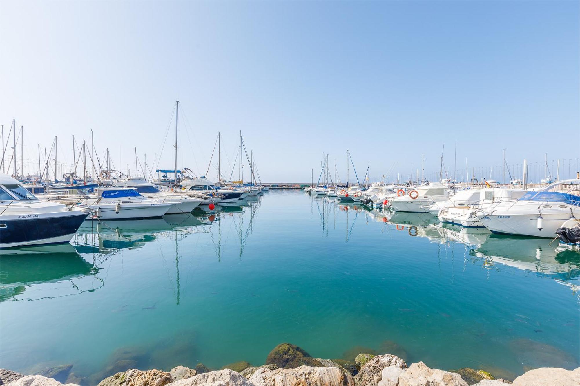 A&N Seaport Caleta Apartment Caleta De Velez Bagian luar foto